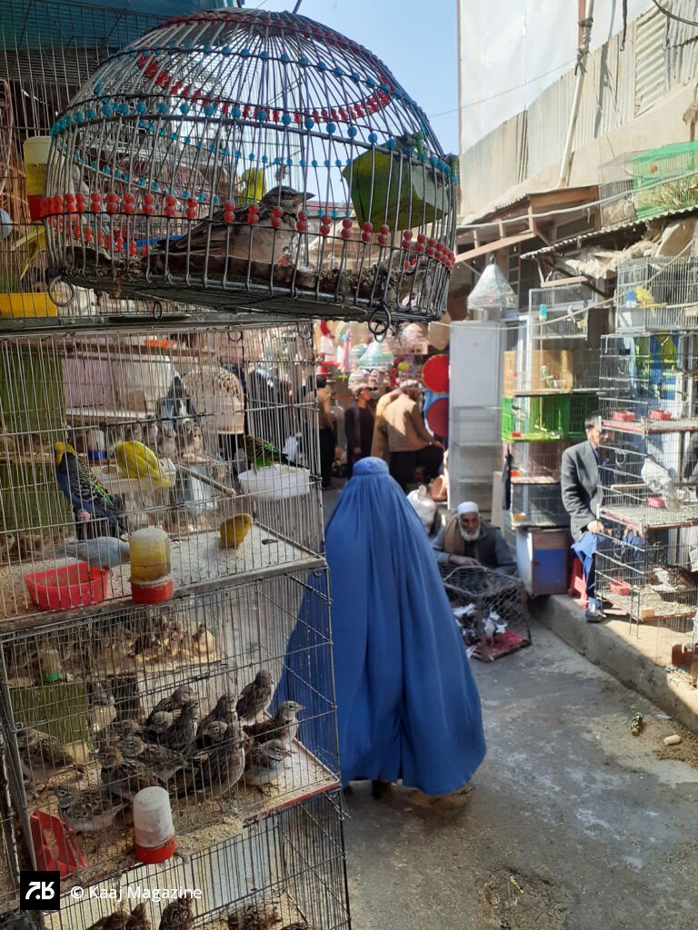 Woman in blue burqa walking through the bird market