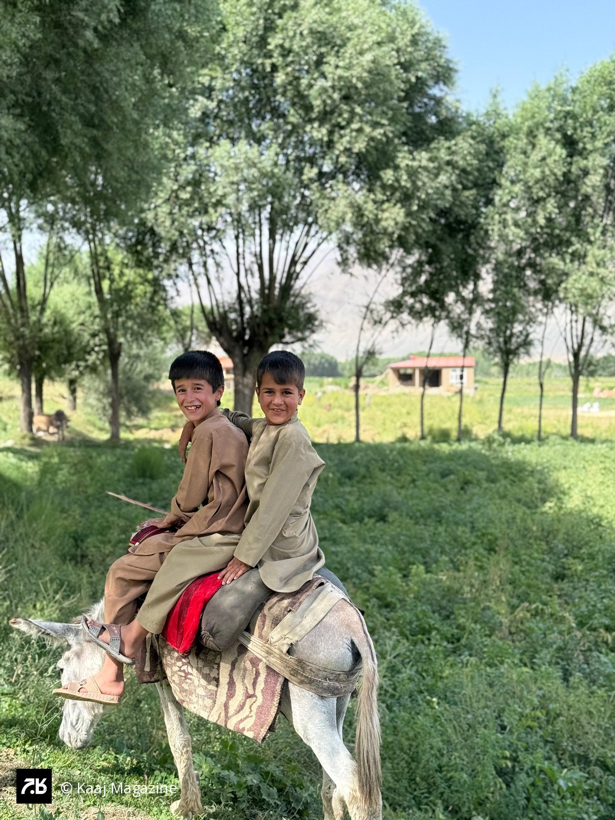 Two smiling boys riding a donkey