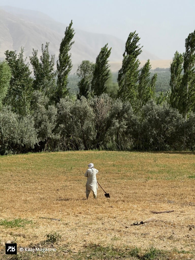Farmer walking through a dry field